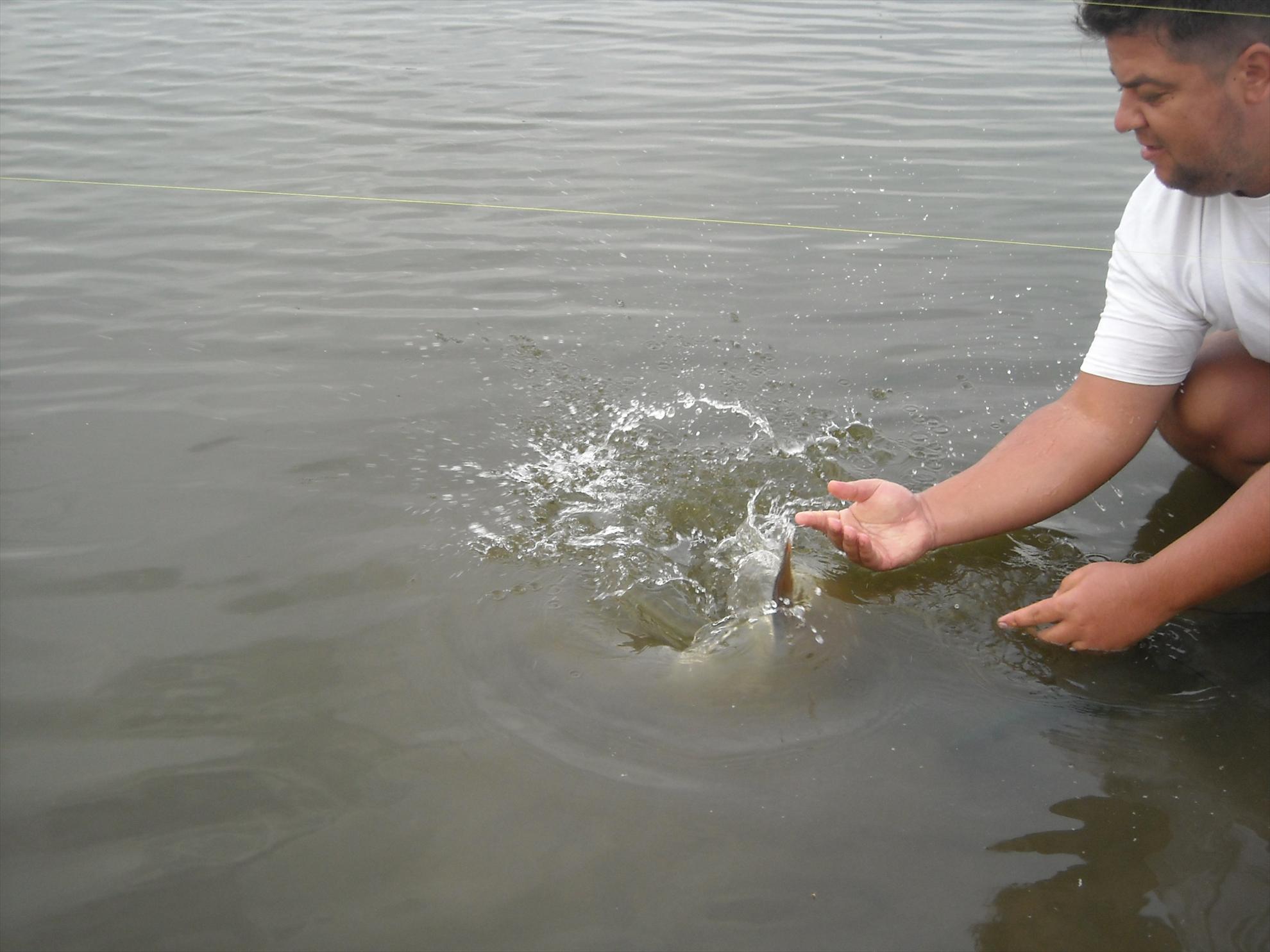 Cupa Romaniei - Hobaia 2010 - dscn6871.jpg